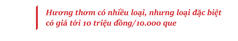 Thăm làng hương 200 năm tuổi thôn Cao ảnh 23