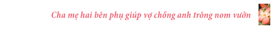 Sâm Bố Chính nở hoa rực rỡ trên đất Quảng Ngãi ảnh 17