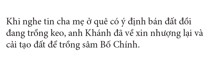 Sâm Bố Chính nở hoa rực rỡ trên đất Quảng Ngãi ảnh 18