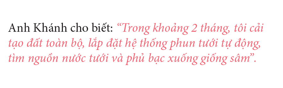 Sâm Bố Chính nở hoa rực rỡ trên đất Quảng Ngãi ảnh 22