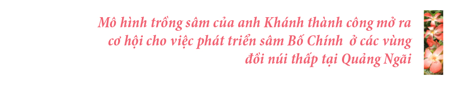 Sâm Bố Chính nở hoa rực rỡ trên đất Quảng Ngãi ảnh 37