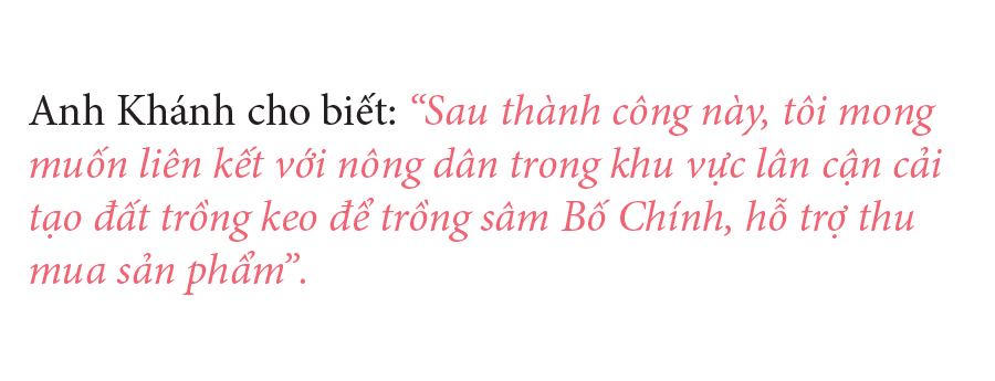 Sâm Bố Chính nở hoa rực rỡ trên đất Quảng Ngãi ảnh 41