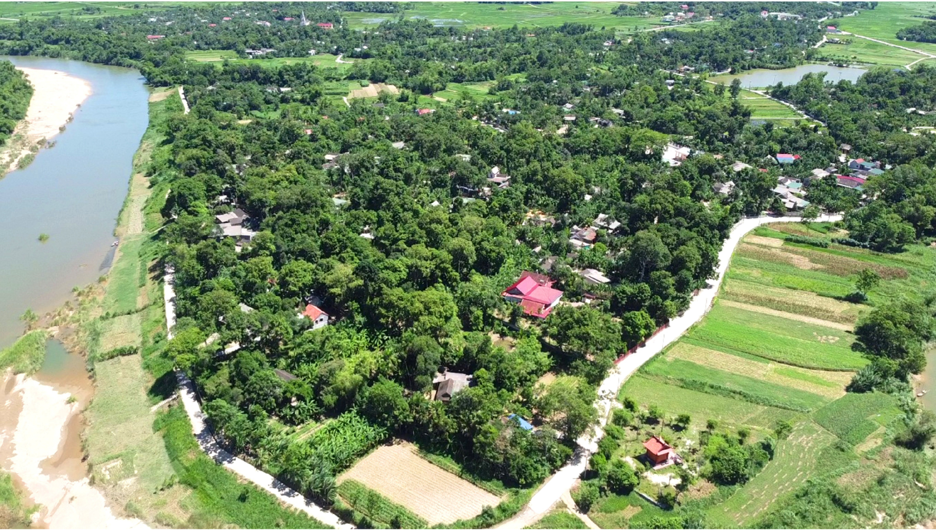 Hà Tĩnh vào mùa thu hoạch quả trám đen ảnh 2