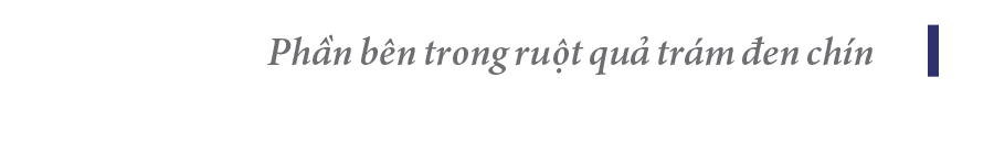 Hà Tĩnh vào mùa thu hoạch quả trám đen ảnh 7