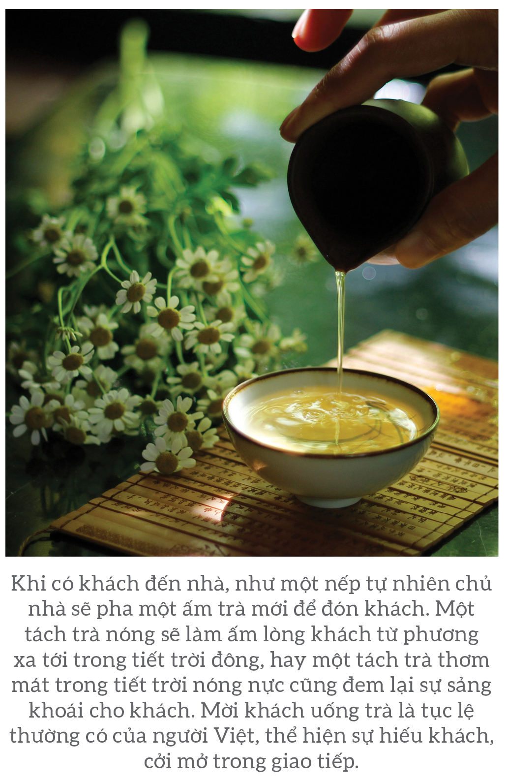 Vị thế của trà ảnh 1