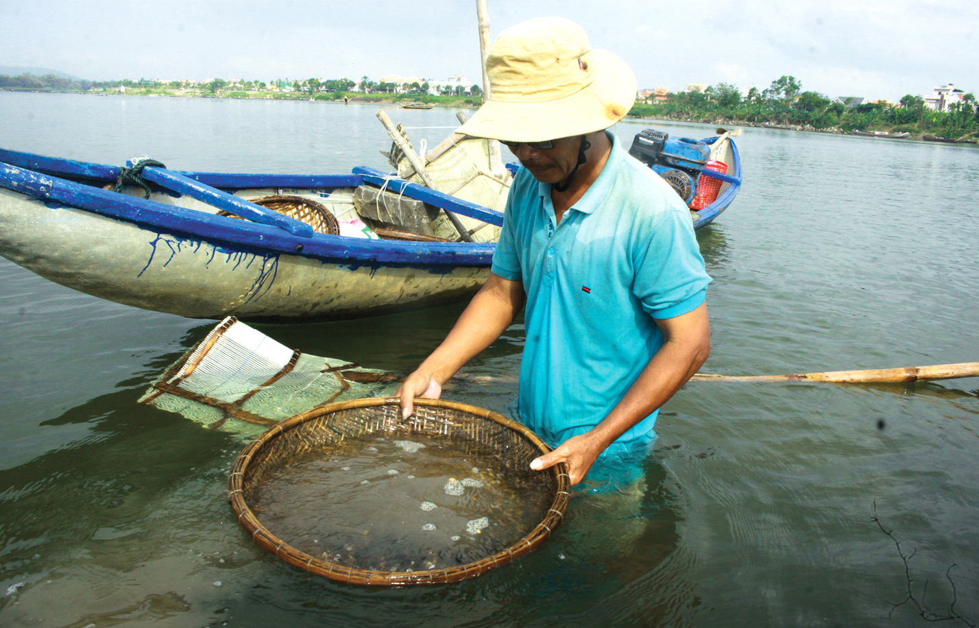 Dầm mình cào don dưới sông Trà Khúc ảnh 12