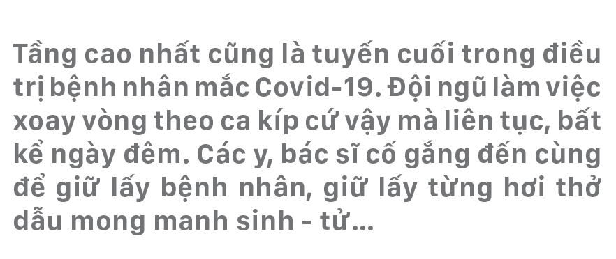 Sự sống từ những ngày “mưa bão” - Bài 5: Hồi sinh ảnh 1
