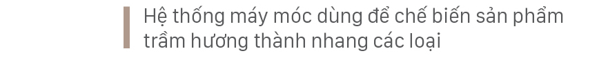Phúc Trạch - 'thủ phủ' của cây dó trầm ảnh 16