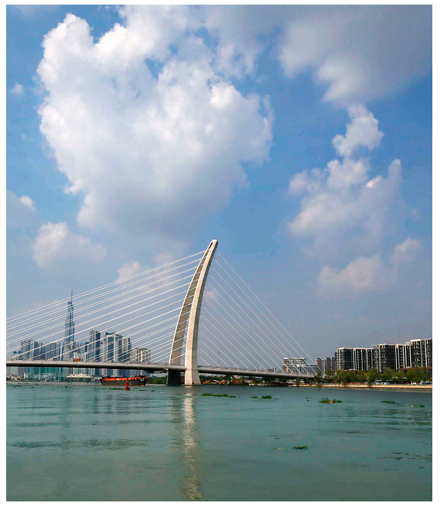 Khánh thành cầu Thủ Thiêm 2 bắc qua sông Sài Gòn ảnh 13