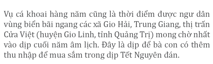 Vào vụ cá khoai, ngư dân Quảng Trị thu tiền triệu mỗi ngày ảnh 2