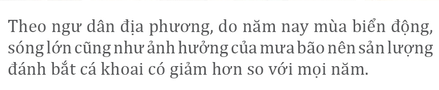 Vào vụ cá khoai, ngư dân Quảng Trị thu tiền triệu mỗi ngày ảnh 8