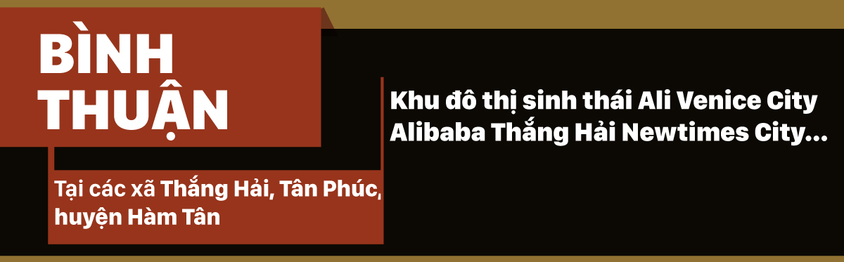 Alibaba và những 'dự án ma' ảnh 13
