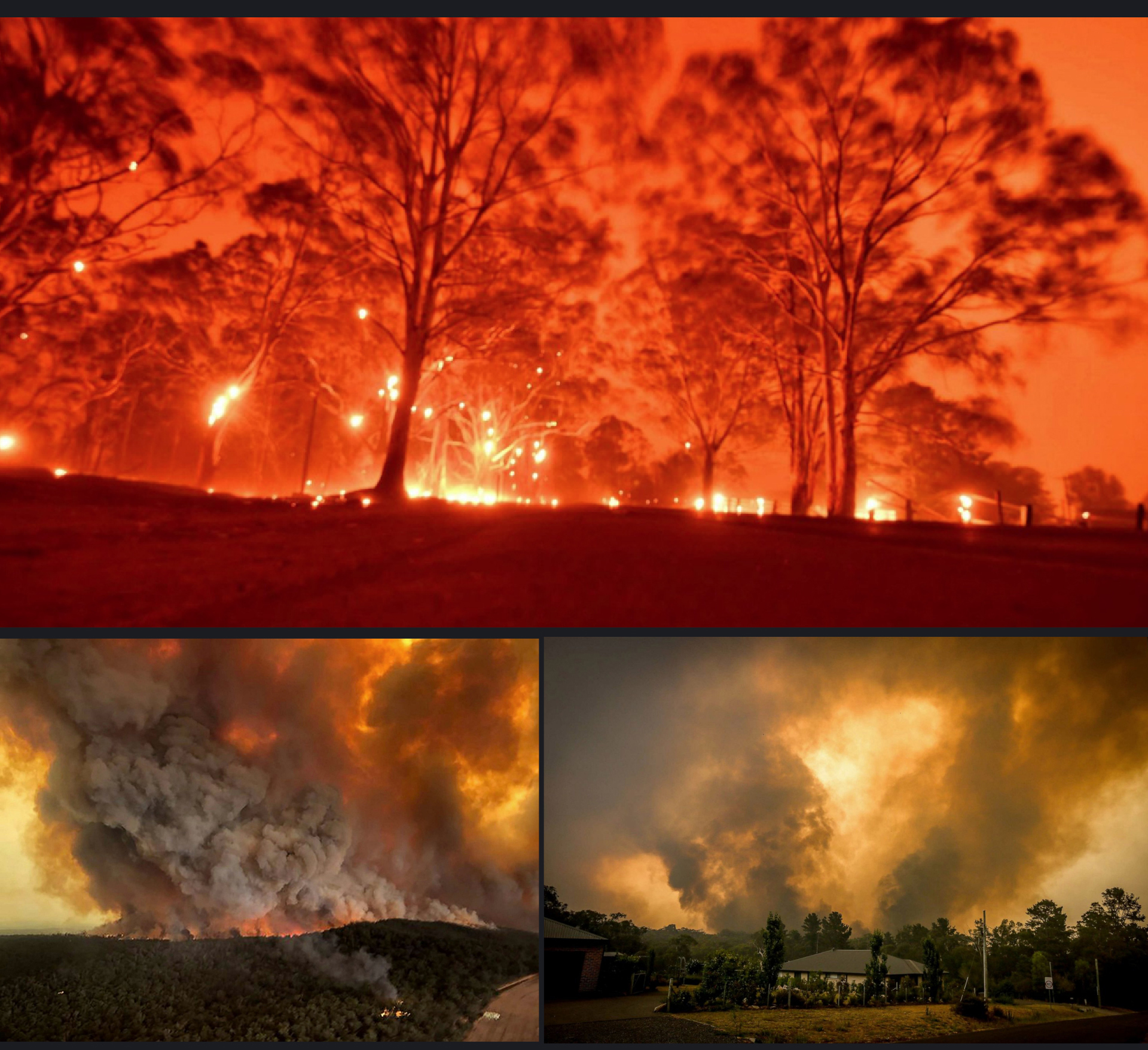 Australia 'oằn lưng' chống chọi thảm họa cháy rừng ảnh 12