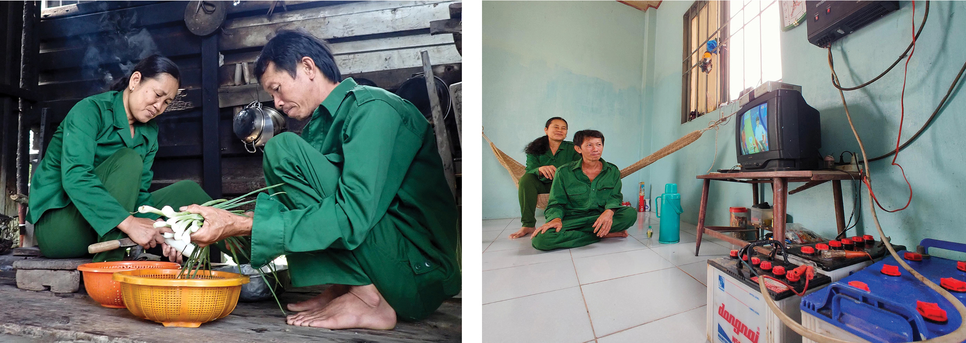 Xanh mãi rừng Cần Giờ ảnh 13