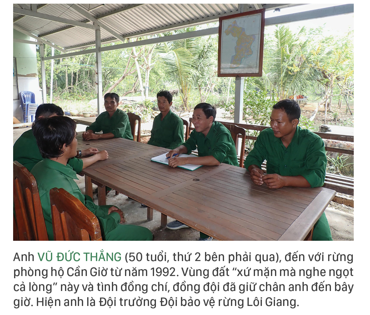 Xanh mãi rừng Cần Giờ ảnh 6