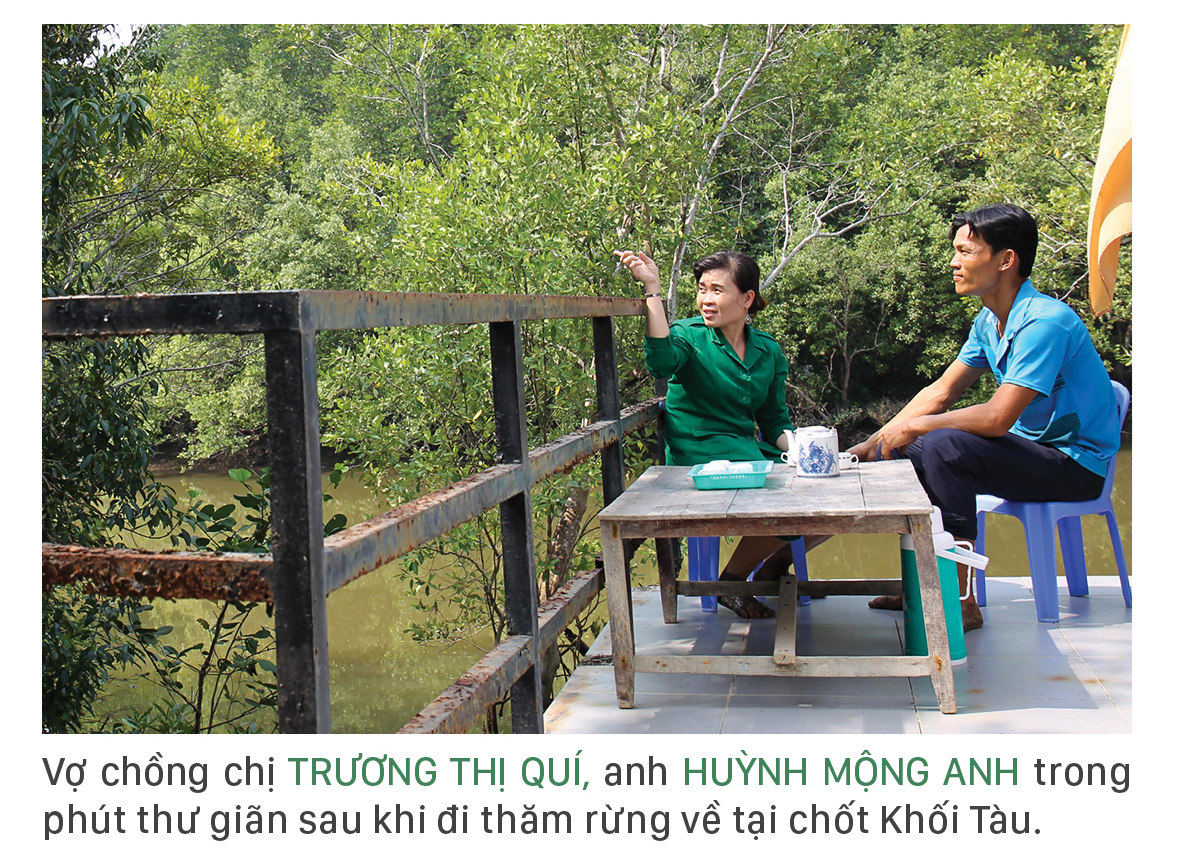 Xanh mãi rừng Cần Giờ ảnh 10