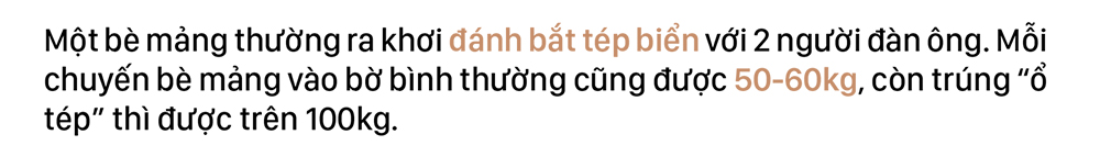 Ngư dân trúng mùa tép biển ảnh 5