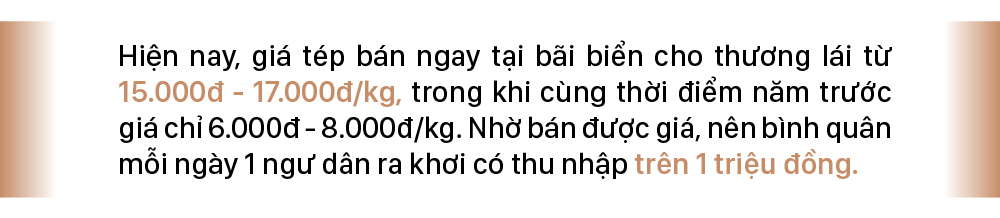 Ngư dân trúng mùa tép biển ảnh 7