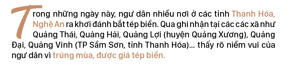 Ngư dân trúng mùa tép biển ảnh 1