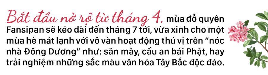 'Nữ hoàng' đỗ quyên 'bung lụa' trên đỉnh Fansipan ảnh 14