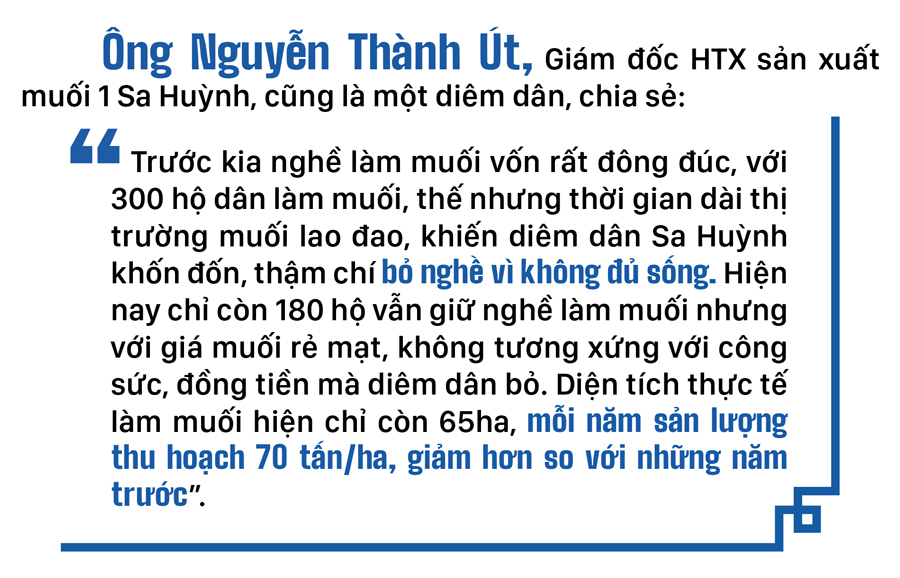 Lao đao nghề làm muối ở Sa Huỳnh, Quảng Ngãi ảnh 11