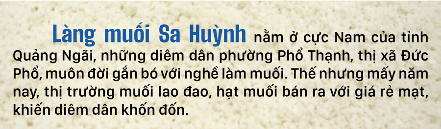 Lao đao nghề làm muối ở Sa Huỳnh, Quảng Ngãi ảnh 1