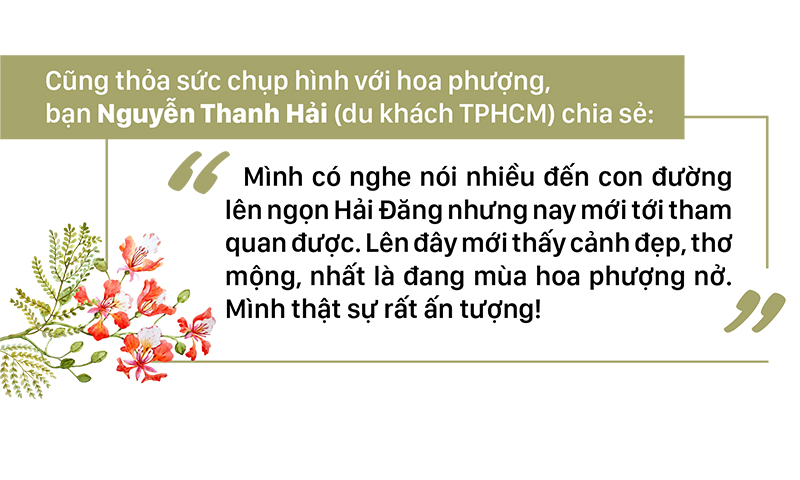 Phượng vĩ đỏ rực đường lên ngọn Hải Đăng ảnh 15