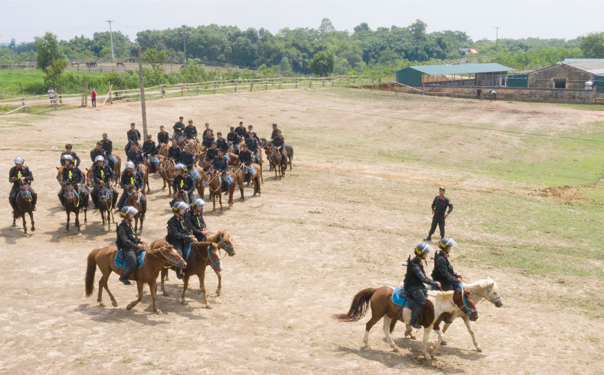 Cảnh sát cơ động Kỵ binh huấn luyện ngựa nghiệp vụ ảnh 13