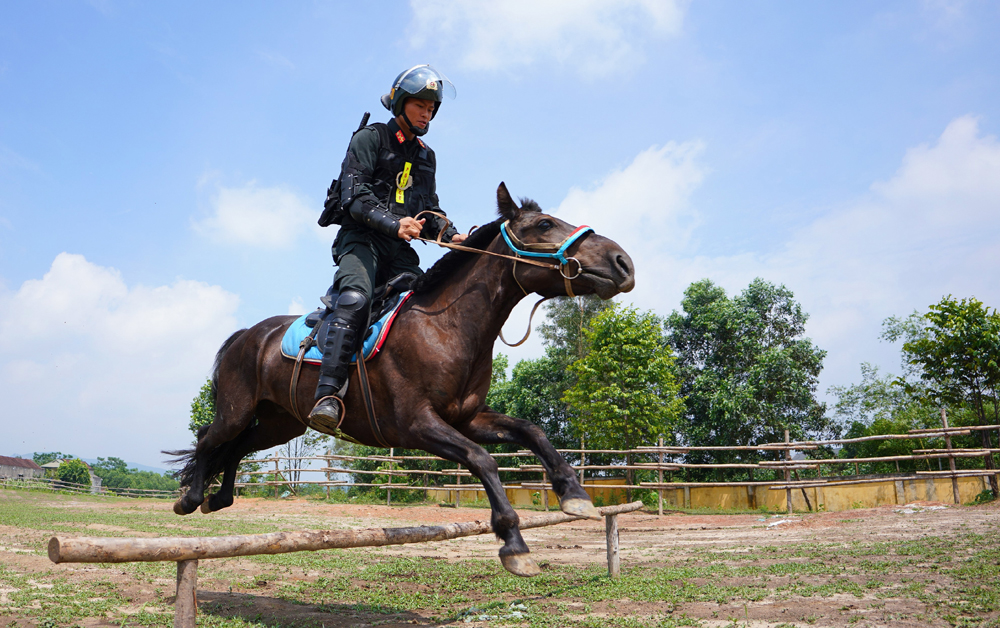 Cảnh sát cơ động Kỵ binh huấn luyện ngựa nghiệp vụ ảnh 15