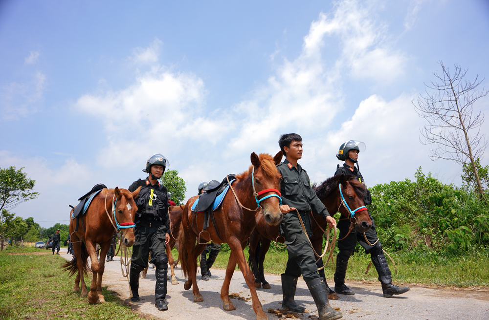 Cảnh sát cơ động Kỵ binh huấn luyện ngựa nghiệp vụ ảnh 19
