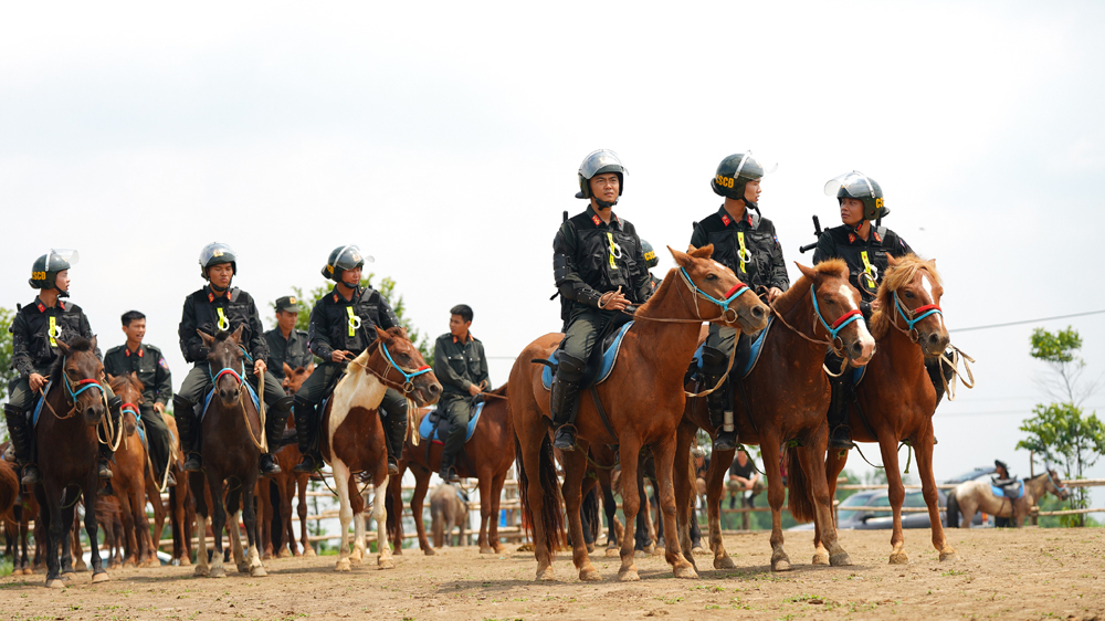 Cảnh sát cơ động Kỵ binh huấn luyện ngựa nghiệp vụ ảnh 8