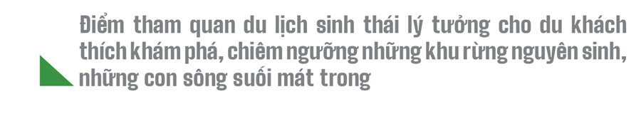 Trải nghiệm du lịch bảo vệ rừng ảnh 21