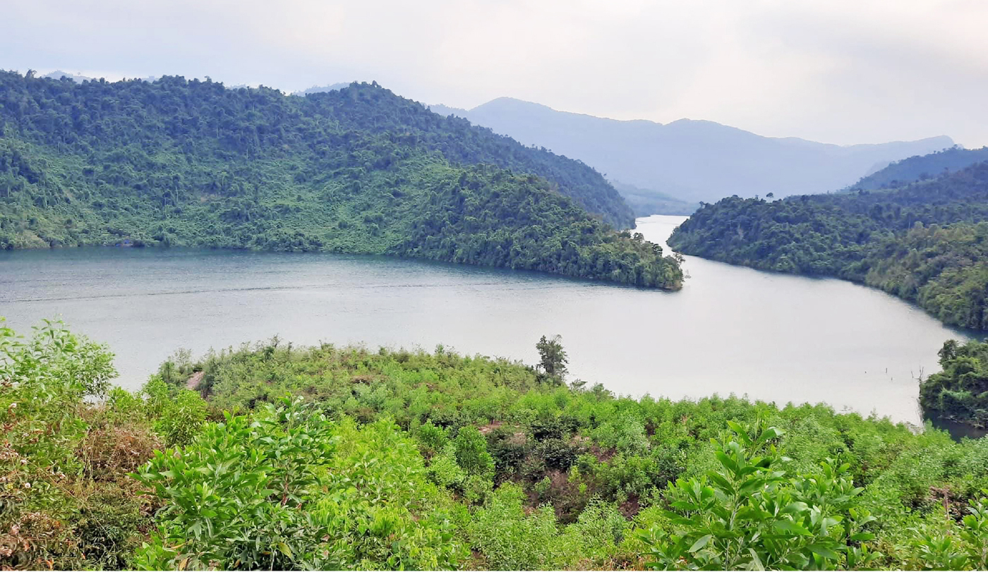 Trải nghiệm du lịch bảo vệ rừng ảnh 1