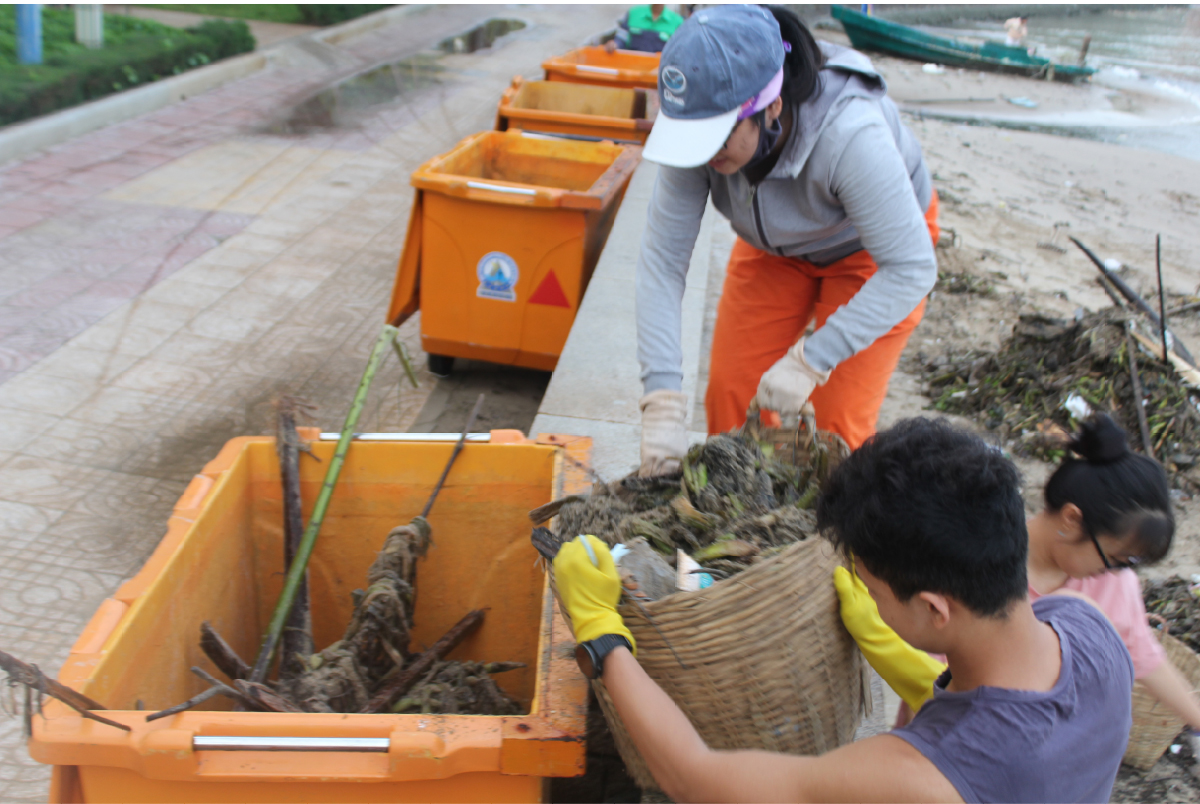 Mùa Hè đi nhặt rác ảnh 12