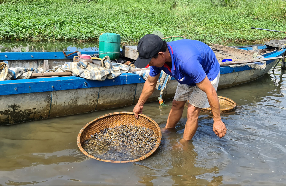 Làng hến 'đỏ lửa' ảnh 14