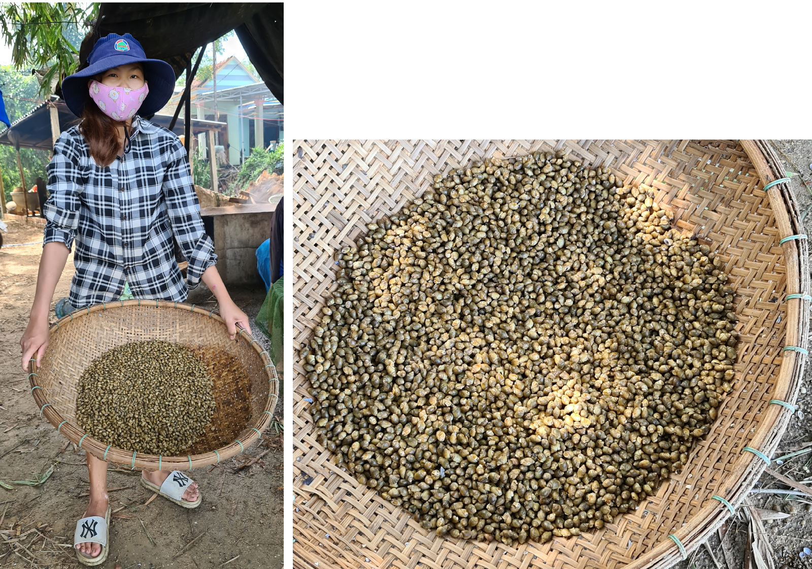 Làng hến 'đỏ lửa' ảnh 18