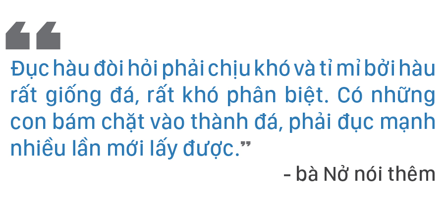 Nhọc nhằn nghề đẽo đá, đục hàu nơi cửa biển ảnh 11
