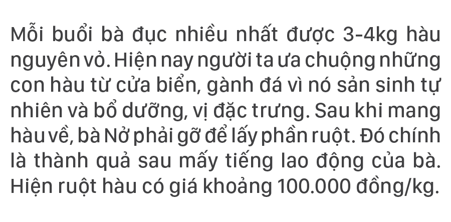 Nhọc nhằn nghề đẽo đá, đục hàu nơi cửa biển ảnh 13