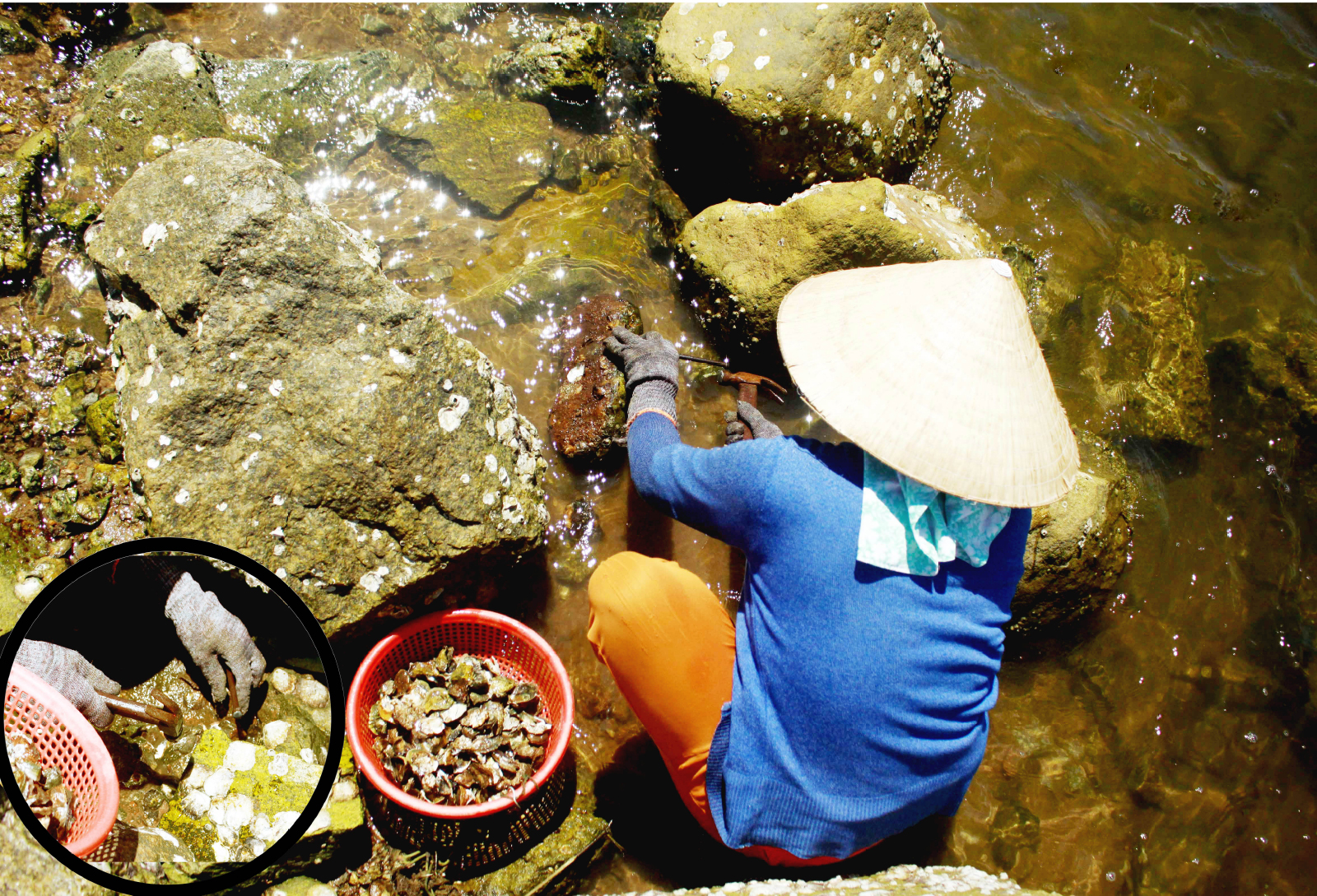 Nhọc nhằn nghề đẽo đá, đục hàu nơi cửa biển ảnh 14