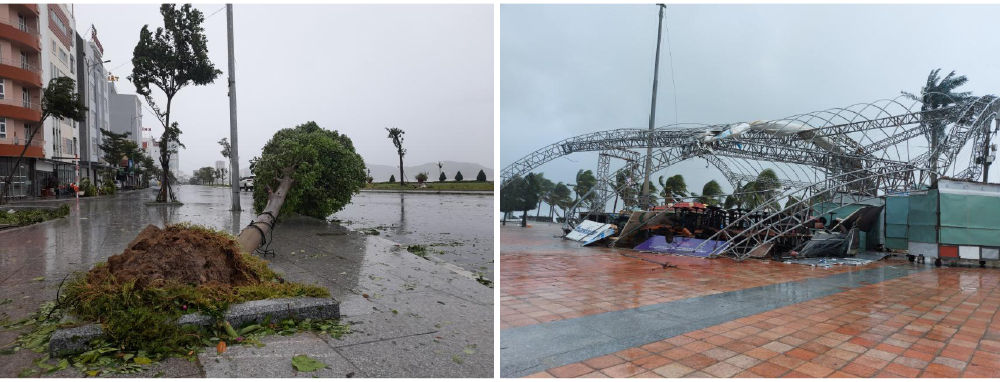 Những cơn bão lớn đổ bộ Việt Nam trong 20 năm qua ảnh 3