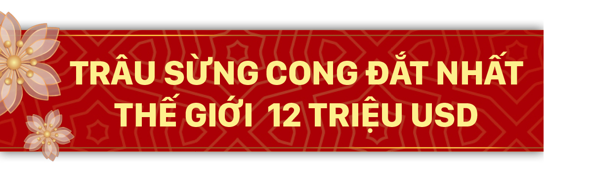 Năm Sửu nói chuyện lạ trâu, bò ảnh 4
