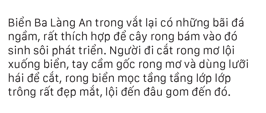 Vẻ đẹp của rong mơ biển trong mùa thu hoạch ảnh 10