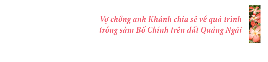 Sâm Bố Chính nở hoa rực rỡ trên đất Quảng Ngãi ảnh 40