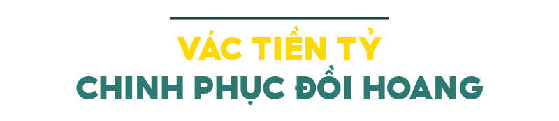 Những 'ông vua' cây ăn quả ở Hoài Ân, Bình Định ảnh 2