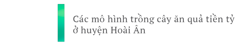 Hoài Ân – Bình Định: Tìm hướng đi bền vững cho nông sản ảnh 17