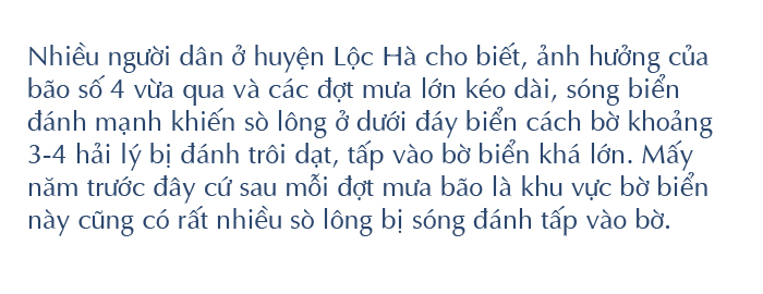 Sau ảnh hưởng bão số 4, người dân đổ xô đi nhặt 'lộc biển' ảnh 13