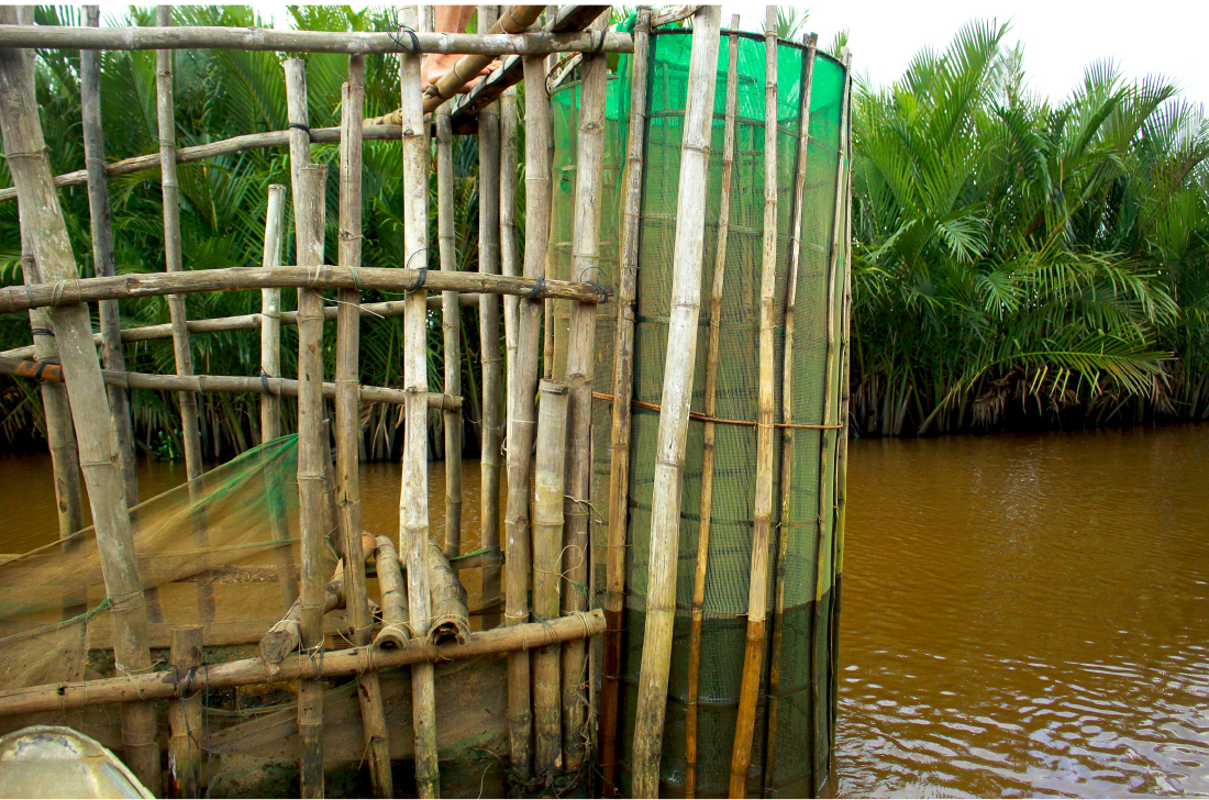 Quảng Ngãi: Độc đáo làm nò vây bắt cá, tôm trong rừng dừa nước Cà Ninh ảnh 13