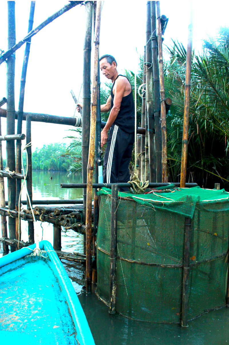 Quảng Ngãi: Độc đáo làm nò vây bắt cá, tôm trong rừng dừa nước Cà Ninh ảnh 18