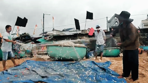 Vung Tau fishermen finally set sails after Covid hiatus