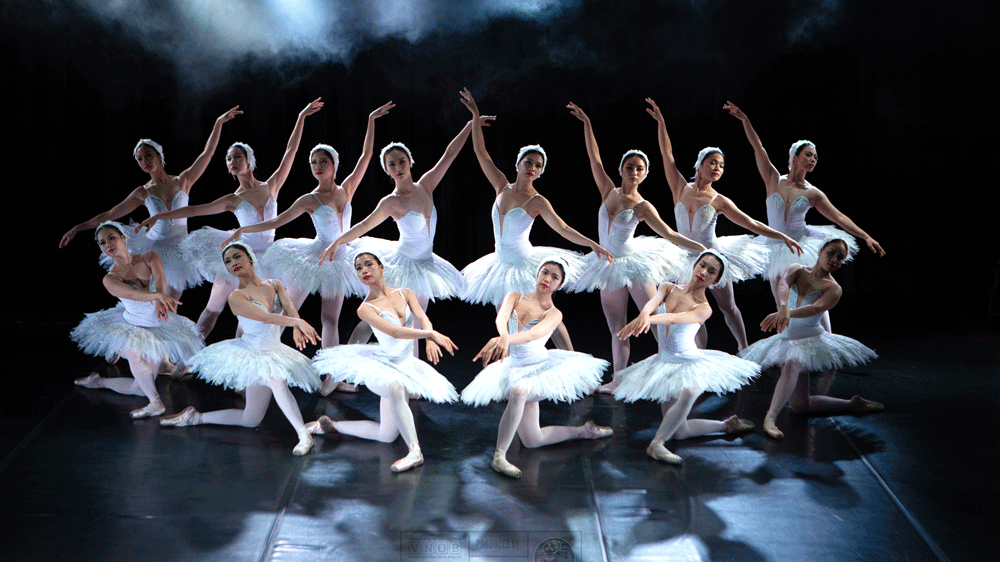 VNOB cancels Tchaikovsky's masterpiece Swan Lake due to COVID-19